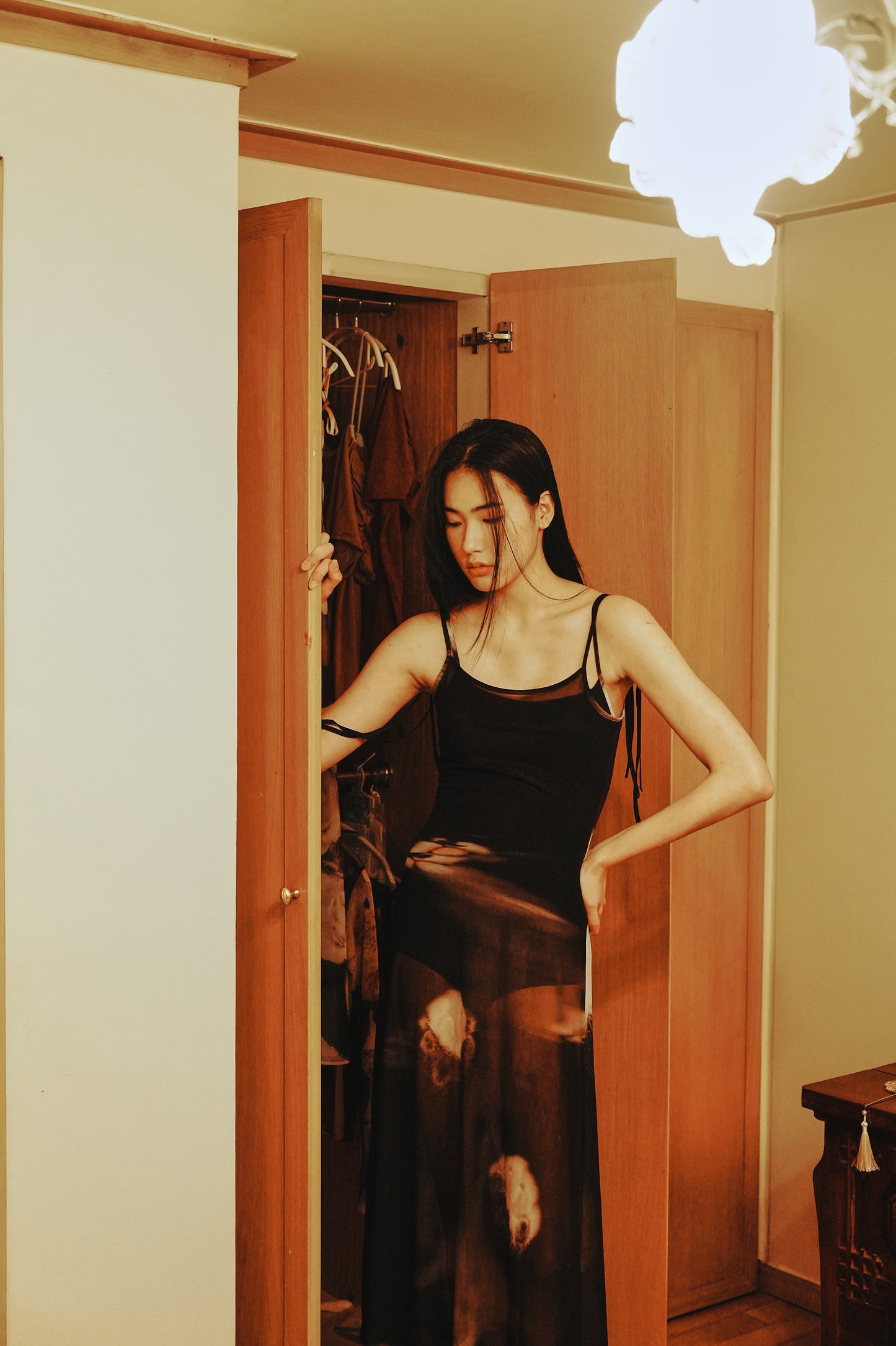 Mesh Dress V2