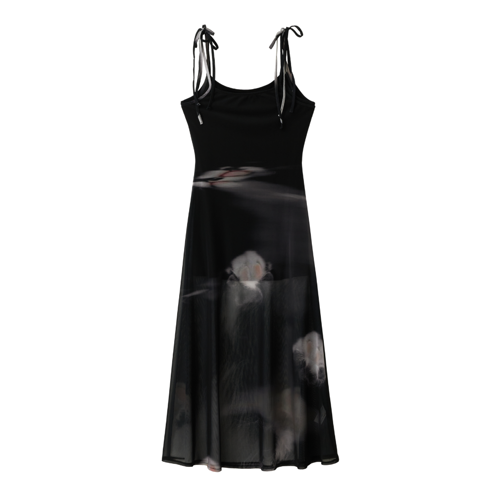 Mesh Dress V2