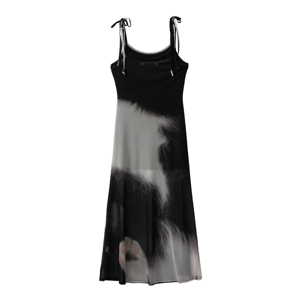 Mesh Dress V2