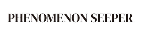 PHENOMENON SEEPER